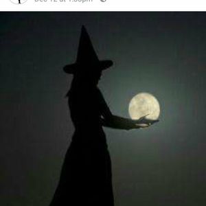 Meet your Posher, Sylvia